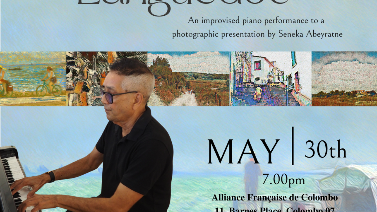 Vignettes of Languedoc