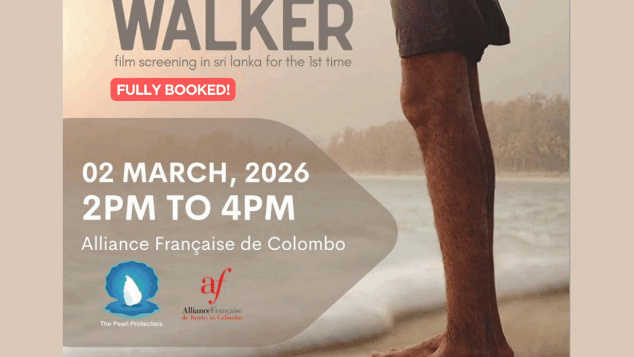 Turtle Walker- Screening